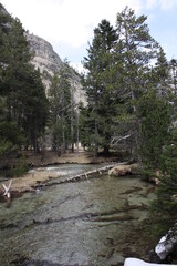 Obraz premium Calm river and forest at high altitude