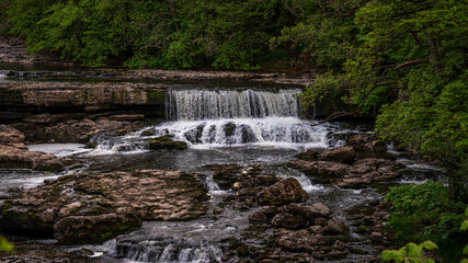 Obraz premium View at the Aysgarth Falls and the River Ure from the Yore Bridge, North Yorkshire, England, UK