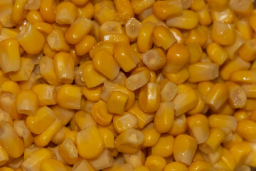 yellow corn grains in close-up