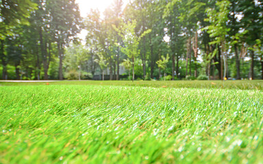 Artificial grass closeup. Artificial turf in a summer city park. Blurred background.