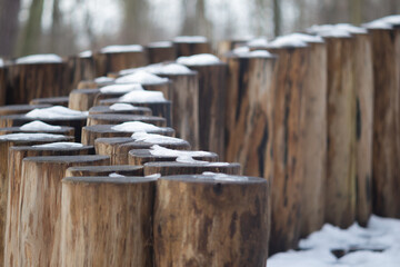 snow-covered wooden piles