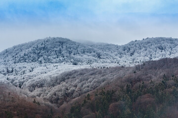snow covered mountains
