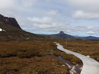 road to the mountains. the forest pathway to Craddle mountain Tasmania Australia  covered with...