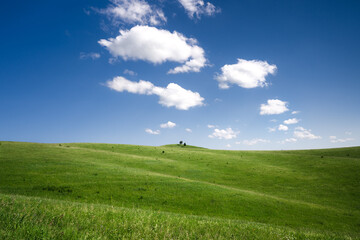 Beautiful landscape with green hills and white clouds against the blue sky. Green meadows illuminated by sunlight. Summer sunny day in nature.