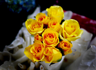 Bouquet of yellow roses