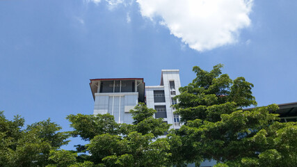 Building with nice sky and nature tree.