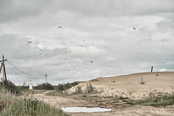 Cloudy sky and sand, in the background a man in a green raincoat. Travel in any weather.