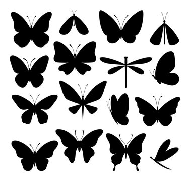 Butterflies. Vector icons set of silhouette butterfly and wild moths insects isolated on white background. Monochrome butterfly of different shapes. Spring tropical insects.