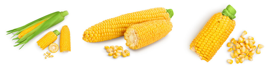 ear of corn isolated on a white background. Clipping path and full depth of field. Set or collection