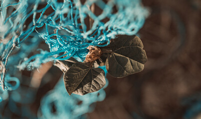 Closeup shot of plant leaves wrapped in the blue net on the blurred background