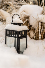 Latarenka w ogrodzie przykryta śniegiem na tle traw ozdobnych - obrazy, fototapety, plakaty