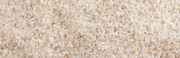 White rice heap background and texture. Panorama.