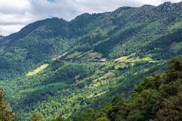 Naklejka premium landscape in the mountains