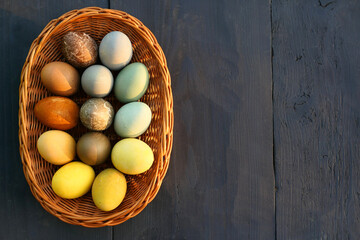Naturally dyed Easter eggs in the basket background.