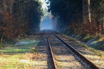 Railroad tracks in the forest on a cold day