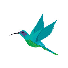cute hummingbird flying animal nature icon