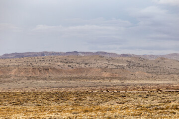 Roaming mountain landscape behind beautiful desert vista in rural New Mexico