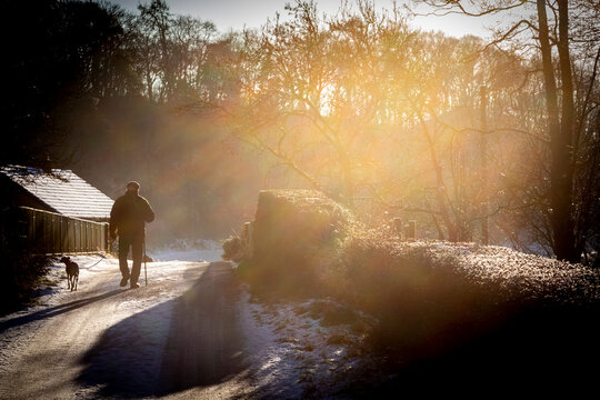 man walking his dog in winter