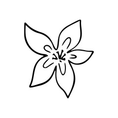 Plumeria flower outline. Frangipani line art vector illustration isolated on white background. Plumeria silhouette icon, blossom doodle and simple element.