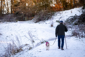 man walking his dog in winter