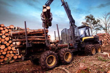 machine for cutting tree trunks used in the forestry industry