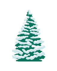 pine tree plant christmas decoration with snow