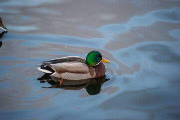 Kristiansand, Norway