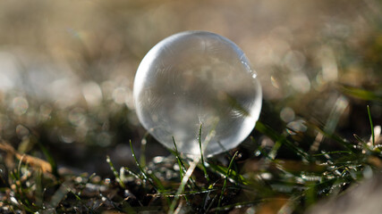 frozen bubbles and frozen grass on a sunny frosty morning