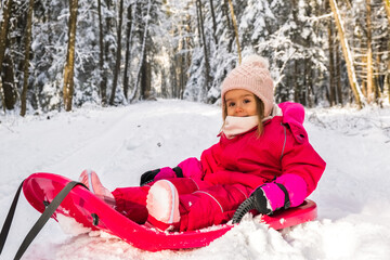 Baby on a sled on path in winter forest. Snowy woods theme.