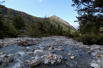 Torrent de Miage