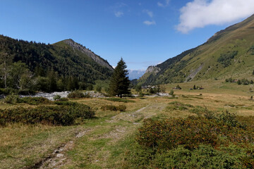 Fototapeta na wymiar Paysage de montagne en été - Saint-Gervais