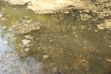 Aguas de rio sucio en cerro