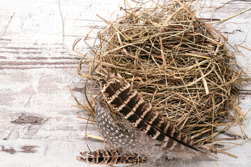 Fototapeta premium Empty quail nest with feathers on wooden table. Copy space