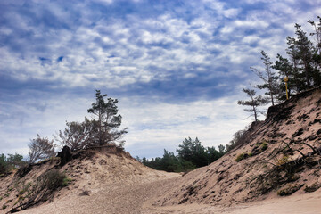 dunes by the baltic sea