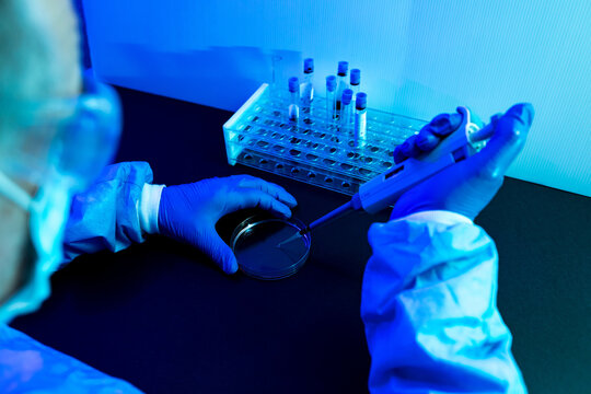 Overhead View Of A Scientist Pipetting A Drop Of Fluid Into A Petri Dish In A Laboratory With A Blue Environment