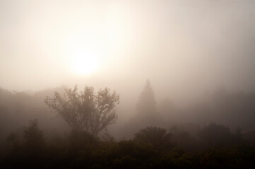 Foggy morning sunrise