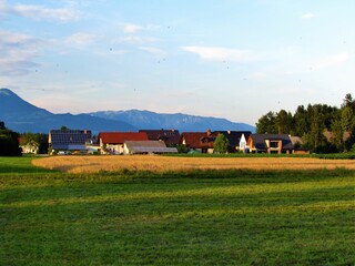 Obraz premium View of a village at Sorsko polje, Gorenjska, Slovenia and a wheat field in front and hills in the background