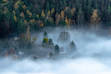 Densely forested hill slope with small rural hou shrouded in a dense fog