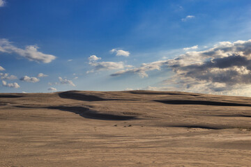Fototapeta premium dunes by the baltic sea