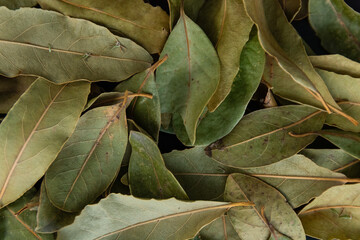 Laurel leafs texture