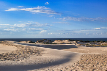dunes by the baltic sea