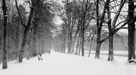 Fototapeta na wymiar winter in the city, snow covered 