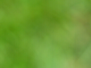 Green Blurred Structures As A Background Color, Full Frame