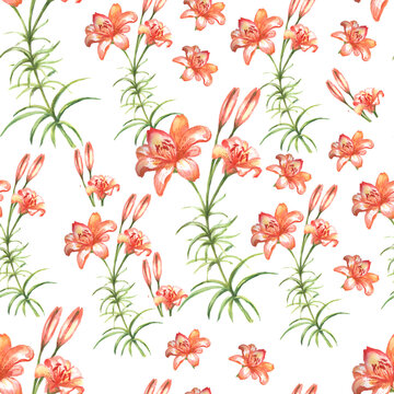 Lily flowers. Graphic hand-drawn illustration, vector. Separate elements on a white background. Print, vintage, doodle, sketch. Flowering, vegetation.