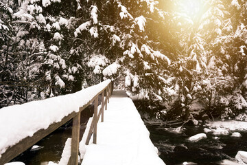 Wooden improvised bridge over a small stream in the forest. Beautiful winter landscape with fresh snow and the sun shining