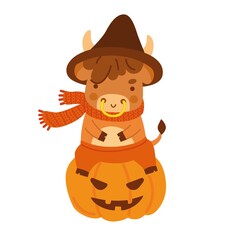 Cute little ox sitting on a halloween pumpkin. Cow cartoon character. Kawaii bull. 2021 zodiac sign. New year animal.