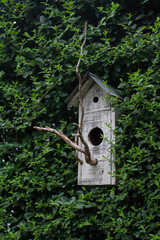 wooden bird house