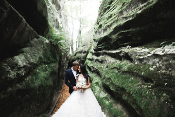 Wedding couple in love kissing and hugging near rocks on beautiful landscape