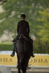 Dressage Horse rider from behind dressed in dressage apparel attire black jacket with tails tall black boots beige jodhpurs ready for horse show dressage competition 