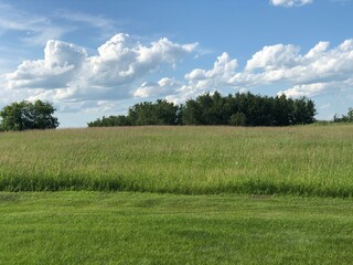 green field and blue sky